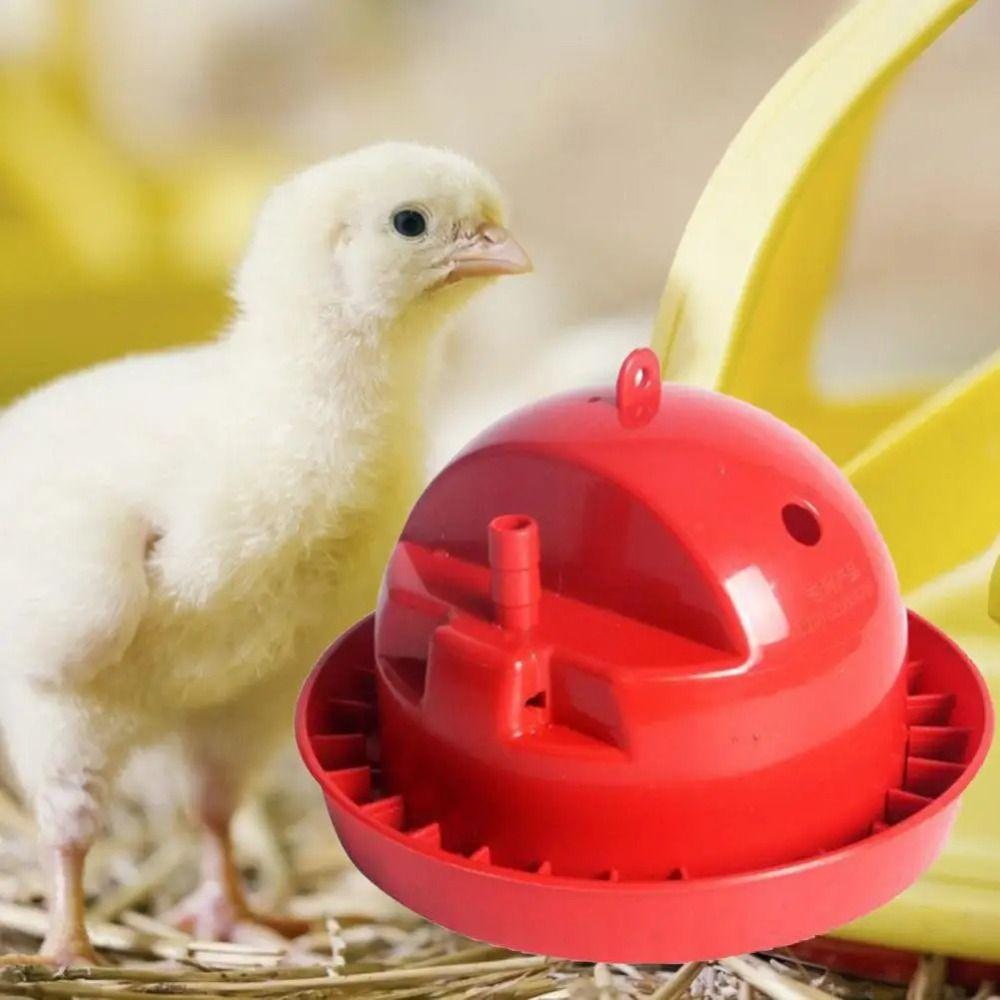 

5 Styles Poultry Waterer Portable Chicken Drinking Fountains Chick Drinking Bowl Farm Animals 5