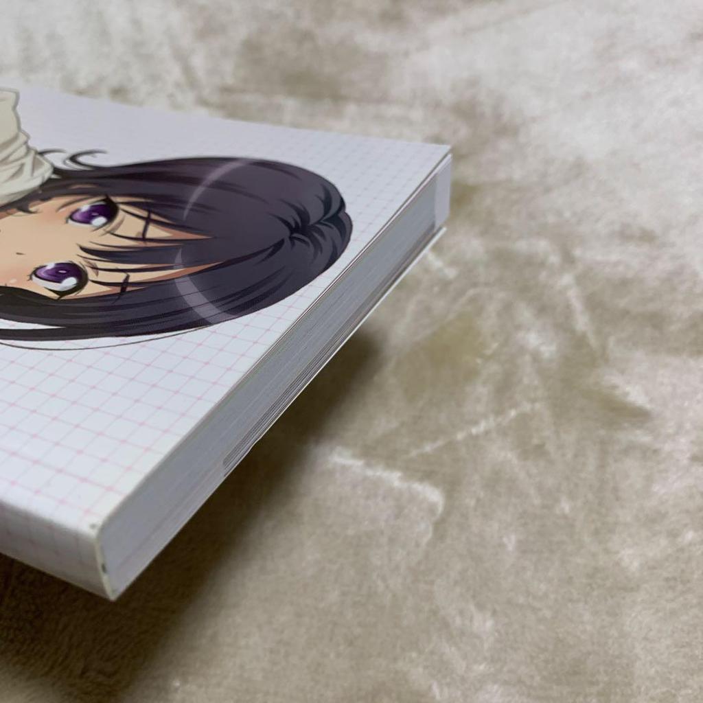 [USED] Haganai NEXT Original Art Collection Neighbors Club Activity Album