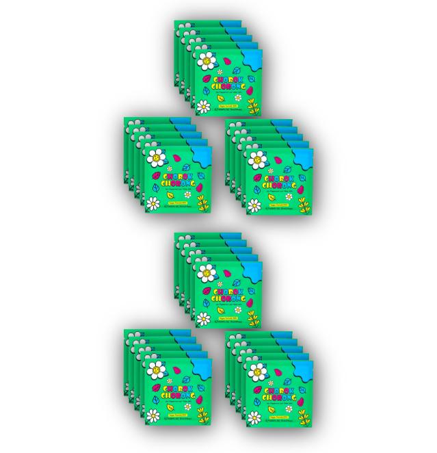 CHOROK CHORONG Vegan Herb Exfoliating & Sebum Care Jeju Peppermint Toner Pad (Travel Size / 15mL+2Pads) (3 Options)