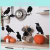 Halloween Crow Black Glass Showcase Bedroom Home Decoration Wall Stickers