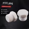 PTFE Hexagonal Threaded Pipe Plug