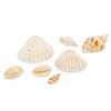 10pcs Natural Conch Shell Beads Bulk Lot With Hole Earring Necklace Charms Pendants for DIY Bracelet Findings Jewelry Making