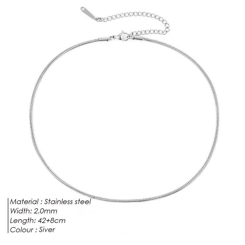 Steel Necklace Round Snake Chain for Women Simple Light Luxury Plain Chain Couple Clavicle Chain European and American Fashion Snake Bone Chain