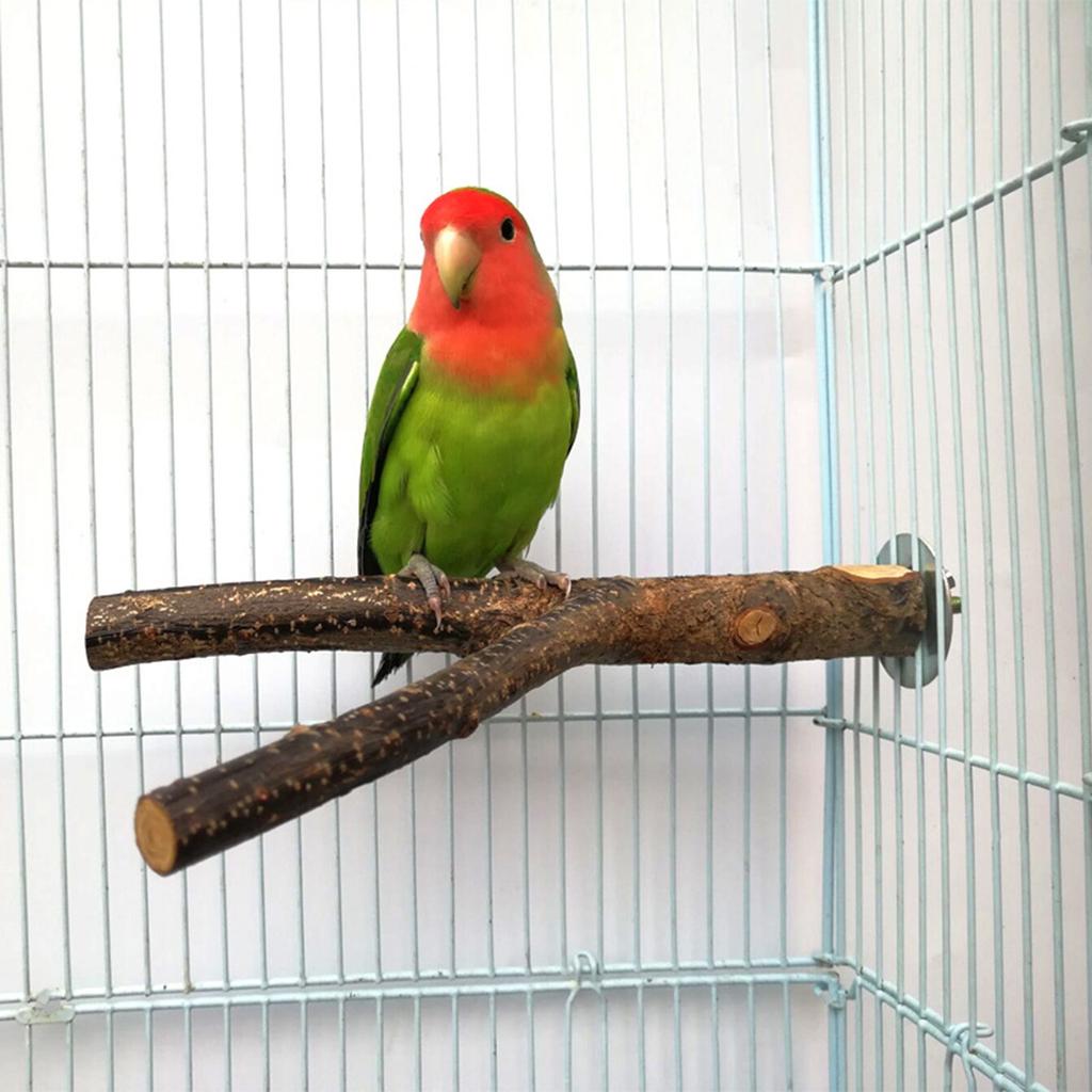 Natural Wood Pet Parrot Raw Wood Fork Tree Branch Stand Rack Squirrel Bird Hamster Branch Perches Chew Bite Toys Bird Supplies