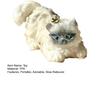 Realistic Cat Squeeze Toy Soft TPR Fidget for Stress Relief Cute Kitten-Shaped Decompression Gadget for Kids Adults