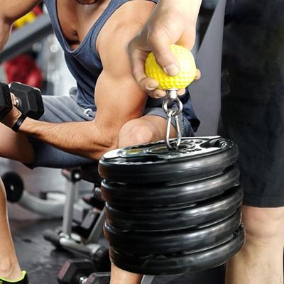 Fitness ve Vücut Geliştirme – Halter sporu