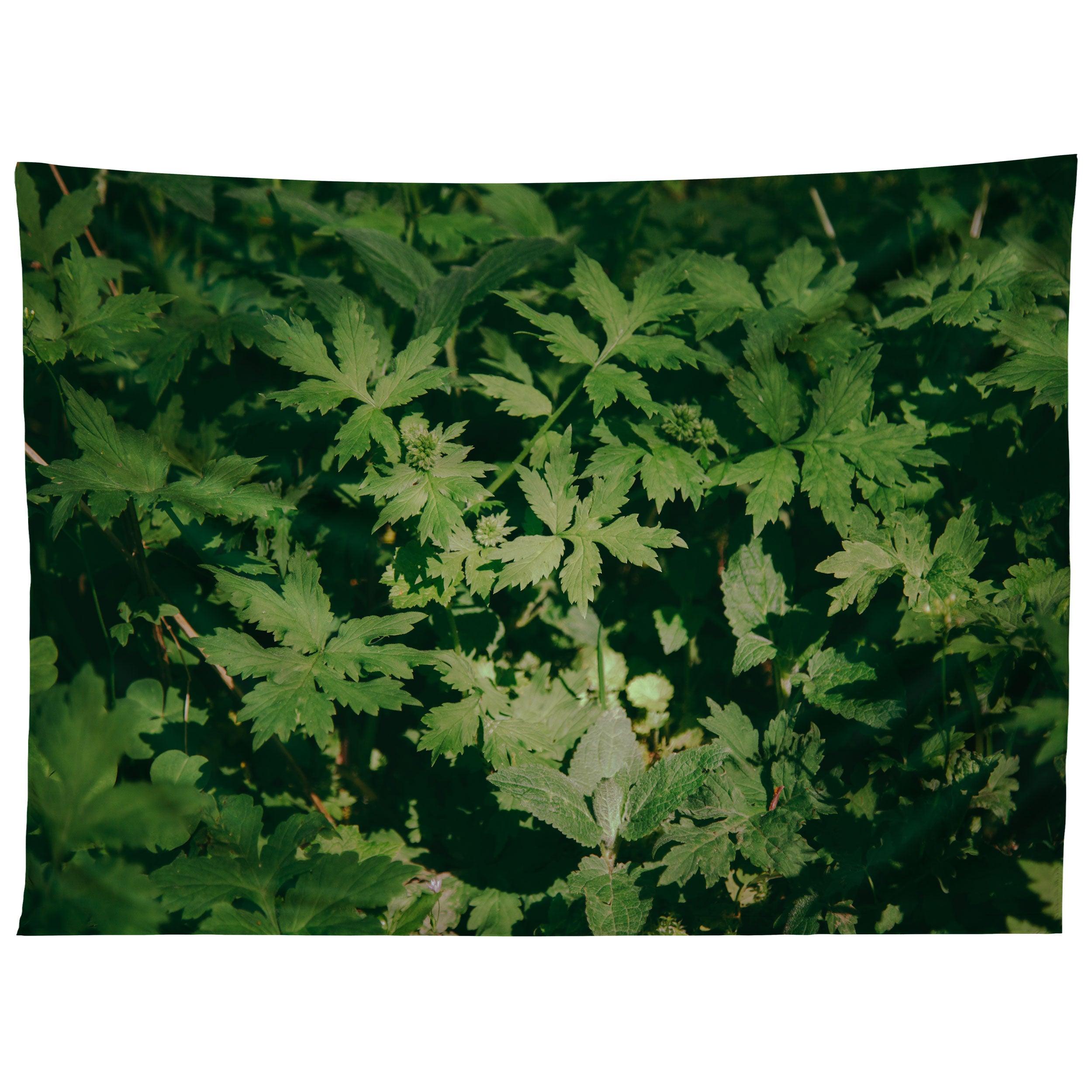 GREEN DETAILS tapestry 75x100