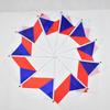 10 piezas de banderas de mano checas de 14*21 cm