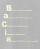 THE COLDEST MOMENT Tcm Bacia Long Sleeve (Melange Gray)