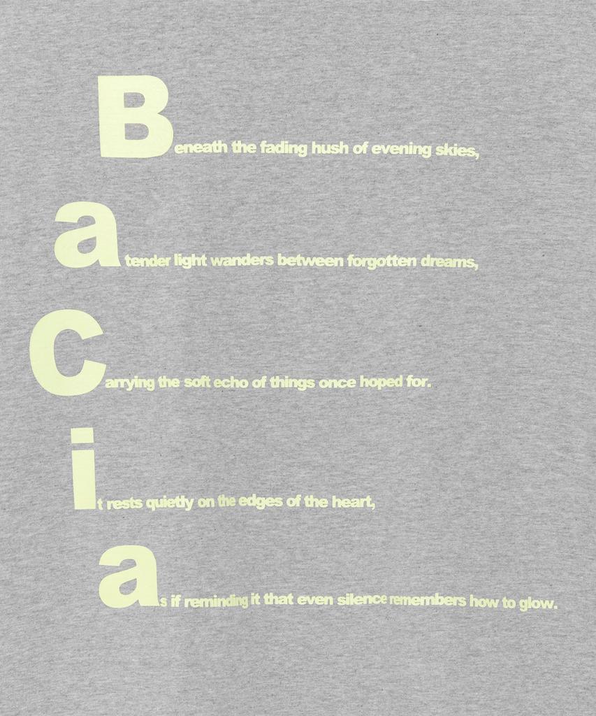 THE COLDEST MOMENT Tcm Bacia Long Sleeve (Melange Gray)