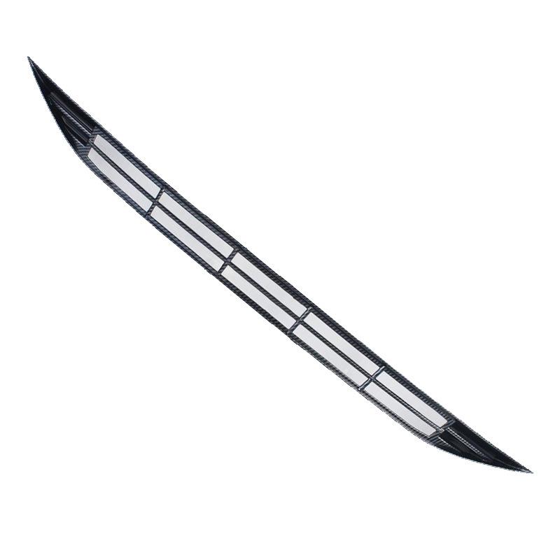2023 BYD Seal/DMI Decorative Exterior Parts: Front Windshield Insect Screen, ABS Baked Paint Finish