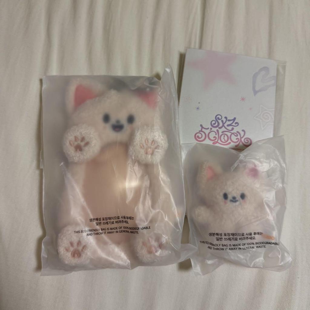 [USED] straykids skzoo fan meeting ien foxshiny set
