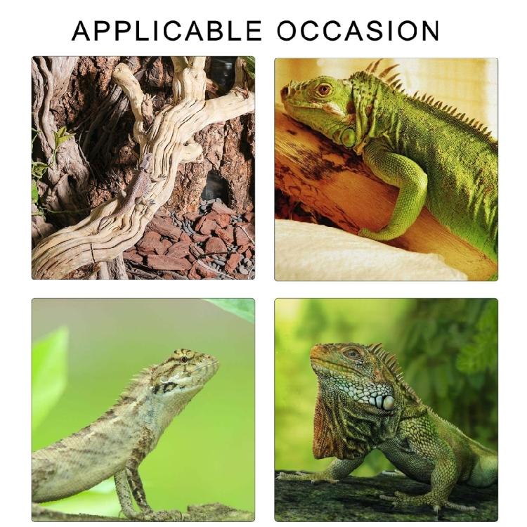 Jaskinia Pnia dla Gadów Naturalna Estetyka Hodowla Drewno Dryfujące dla Gadów Drewno Wspinaczkowe Jadalnie Akcesoria