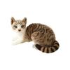 Hyack Cat Plush Toy Realistic Realistic Cat Stuffed Toy Kitten Figurine Cute (Style 2) [Parallel Import]