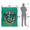 Harry Potter Slytherin Painted Blanket