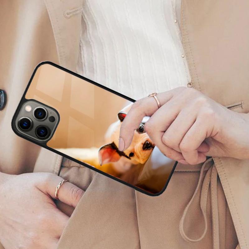 French Bulldog Dog Magnetic Phone Case For APPLE iPhone 17 Air 16 14 13 12 Pro Max 15 Plus Wireless Charge With MagSafe Cover