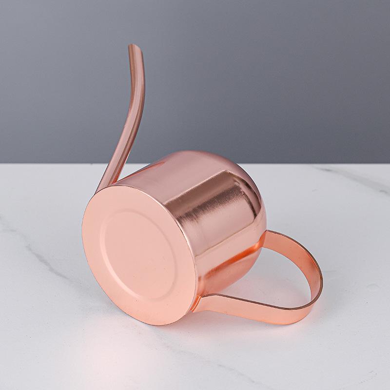 Rose Gold Stainless Steel Watering Can with Spout, Retro Style, 1000ML for Succulents and Green Plants