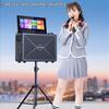 Sansui C1 Portable All-in-One KTV & Guitar Speaker CN Plug (adapter Included)