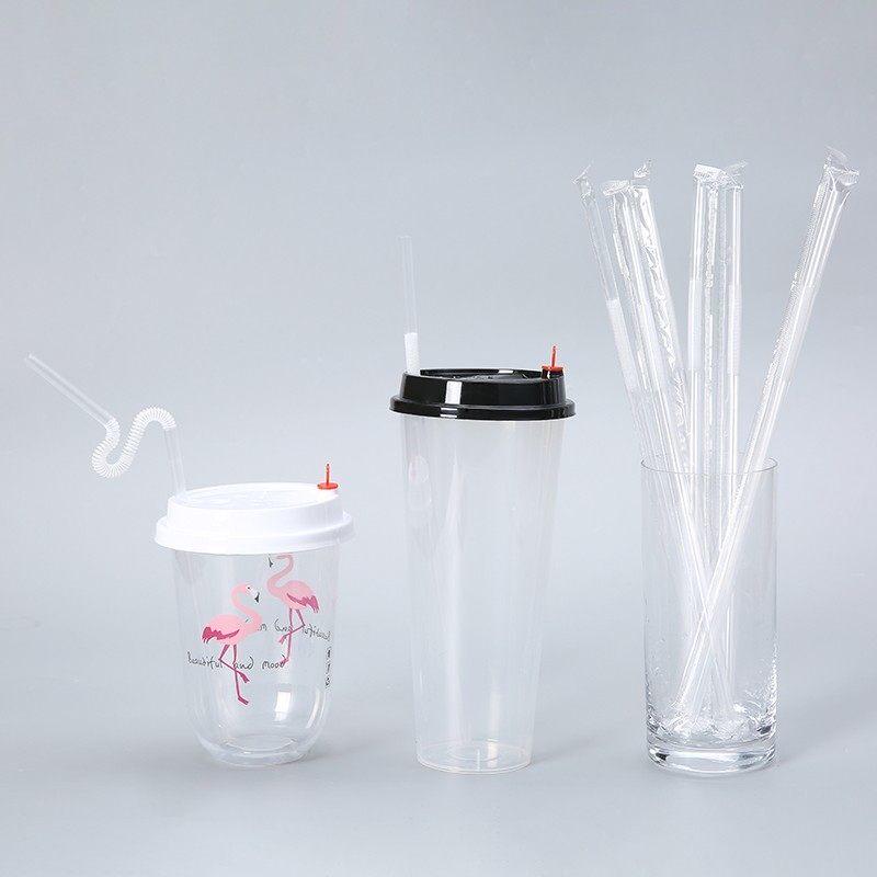 ZISIZ Individually Wrapped Disposable Plastic Art Straw