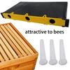 Bees Feeder Plastic Inside Honeycomb Water Feeder Bees Drinking Device Plastic Texture Suitable for Prevent Bees Drowning
