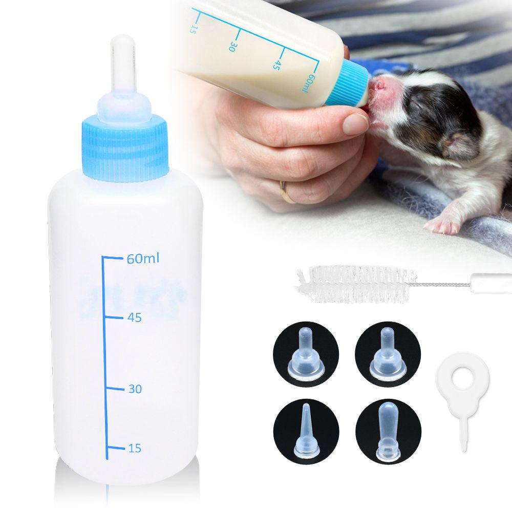 kitten nipple bottle