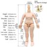 Moveable Joints Doll Model Body Multi-skinned Obitsu Doll Children Gift Ob11 Doll Body  DIY Toy