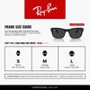 Sunglasses RB4428F Asian Fit Ray-Ban