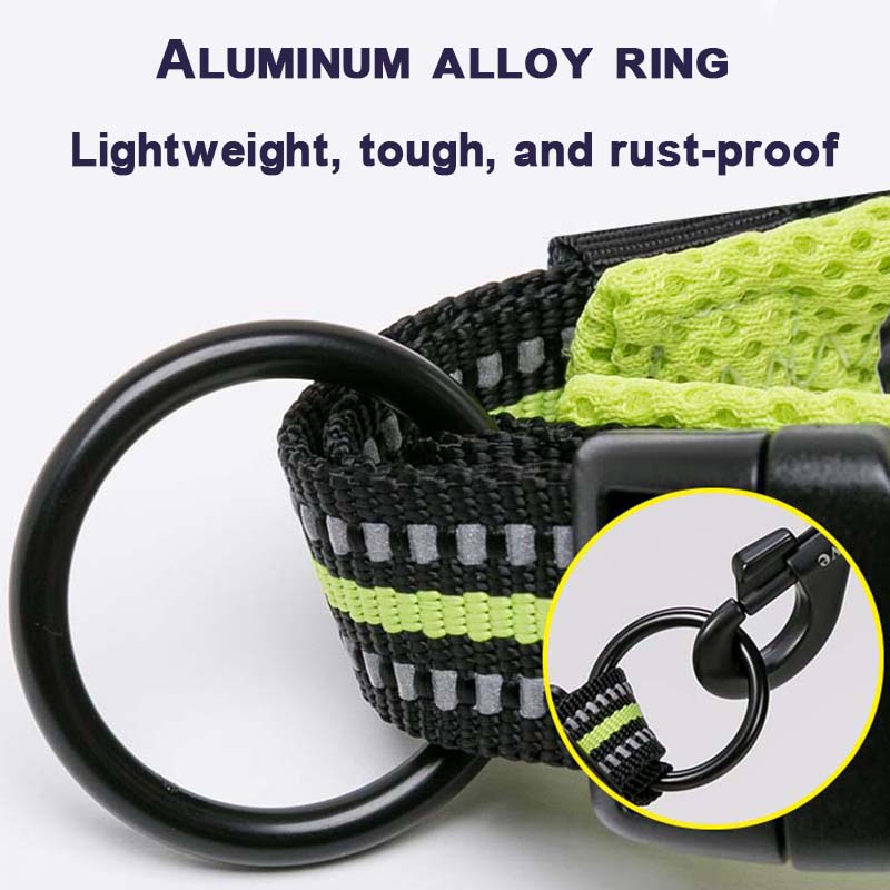 Truelove Hundehalsband zum Gassigehen Komfortgepolstert mit Schnalle Nylon Reisehalsband Taktisches Hundezubehör 11 Farben Größe XXS-XXXL