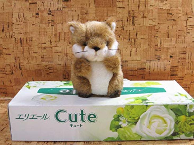 Bamboo Shoot Puchi Puchi Land Forest Friends Fox Plush Toy 58439