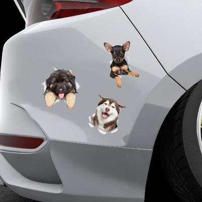 3D-Aufkleber Kratzer-Aufkleber Realistischer Welpe Dekorativer Aufkleber Auto Elektroauto Karosserie Laptop Kühlschrank Toiletten-Aufkleber