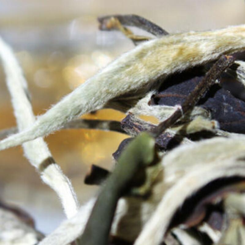 Yunnan Jinggu Moonlight White Raw Pu Erh Tea Buds Loose Leaf 100g Premium