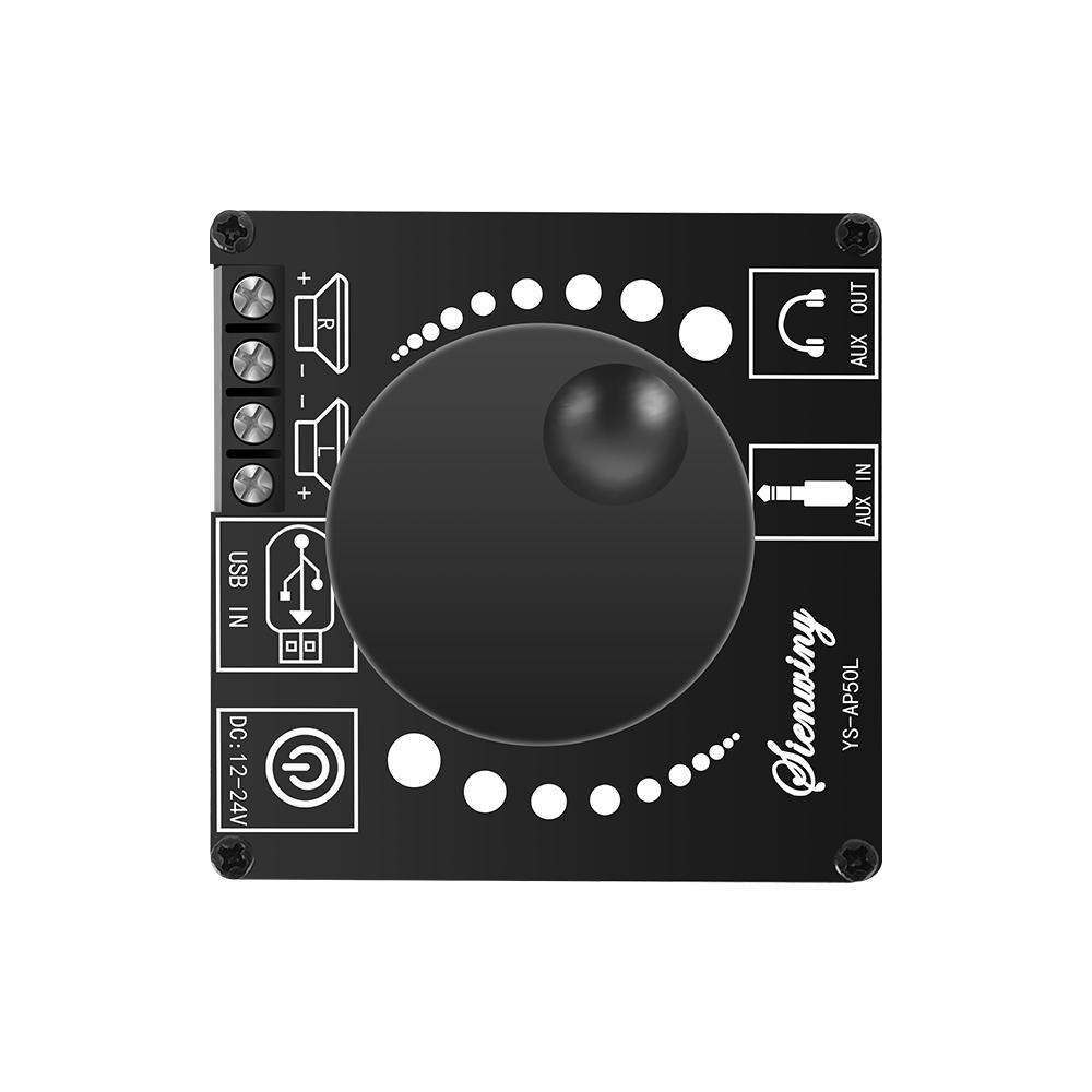 AP50L 50WX2 Mini Senza Fili Bluetuth 5.0 Audio Scheda Di Potenza
