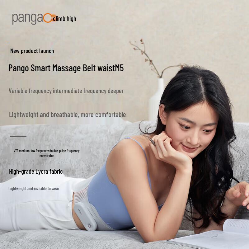 

Pangao Lumbar Massager