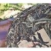 357g Ming Qian Ancient Tree Frühlingstee Pu'er Rohtee Siebensamen-Kuchentee