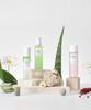 Farmic Superful Vege Hochfeuchtigkeitsspendendes Gel-Reiniger-Toner-Serum-Nebel Hautpflege-Set