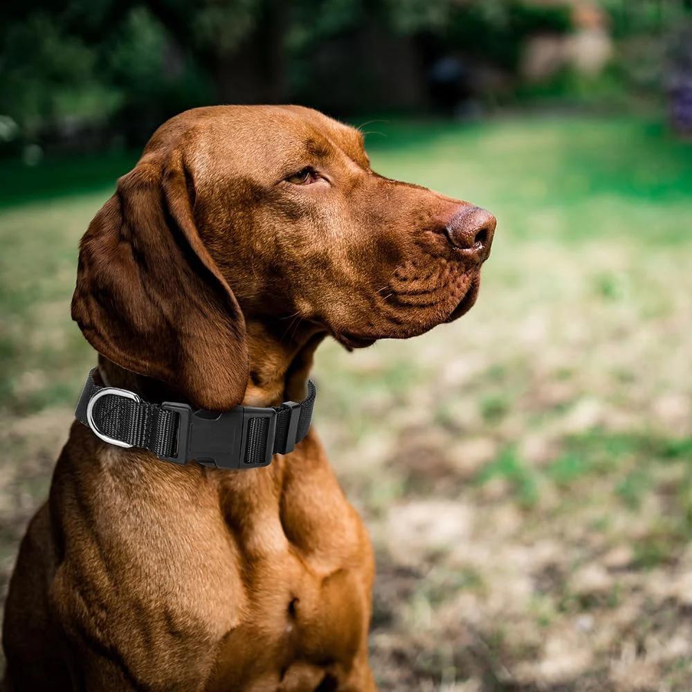 Solid Color Nylon Adjustable Dog Collar with Heavy Duty Clip Buckle Dog Pet Neck Collar Cover for Small Medium Large Dogs