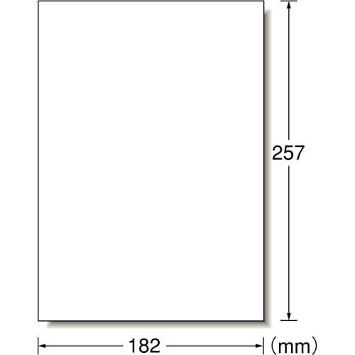 A-One Label Sticker B5 Uncut 100 Sheets 28421