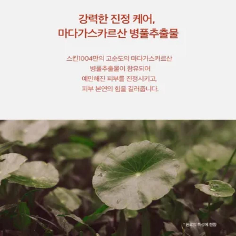 SKIN1004 Madagascar Centella Poremizing Fresh Ampoule 100ml / KOREA COSMETIC K-Beauty Korean