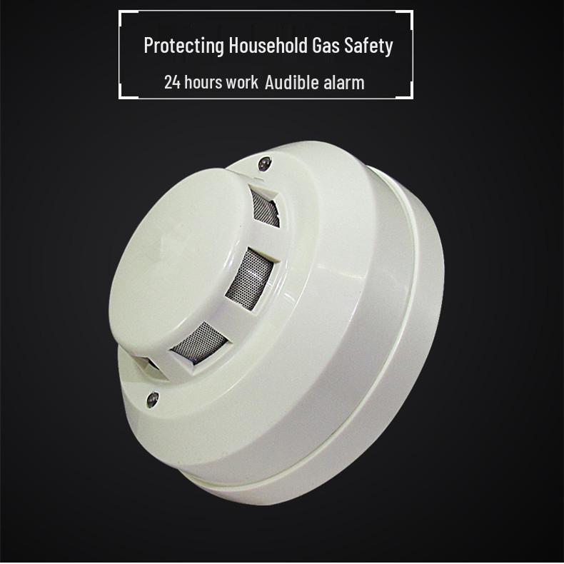 Ceiling-Mounted 220V Gas Leak Alarm with Solenoid Shut-off Valve, AC Powered No