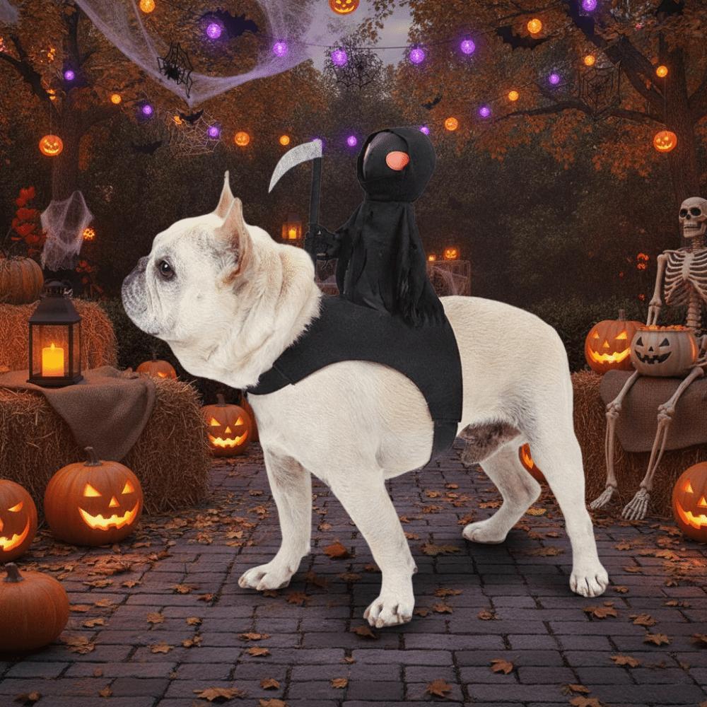 Lustiges Hundekostüm Kreatives Hundesattel-Kostüm Hund Geisterreiter-Kostüm Halloween-Party
