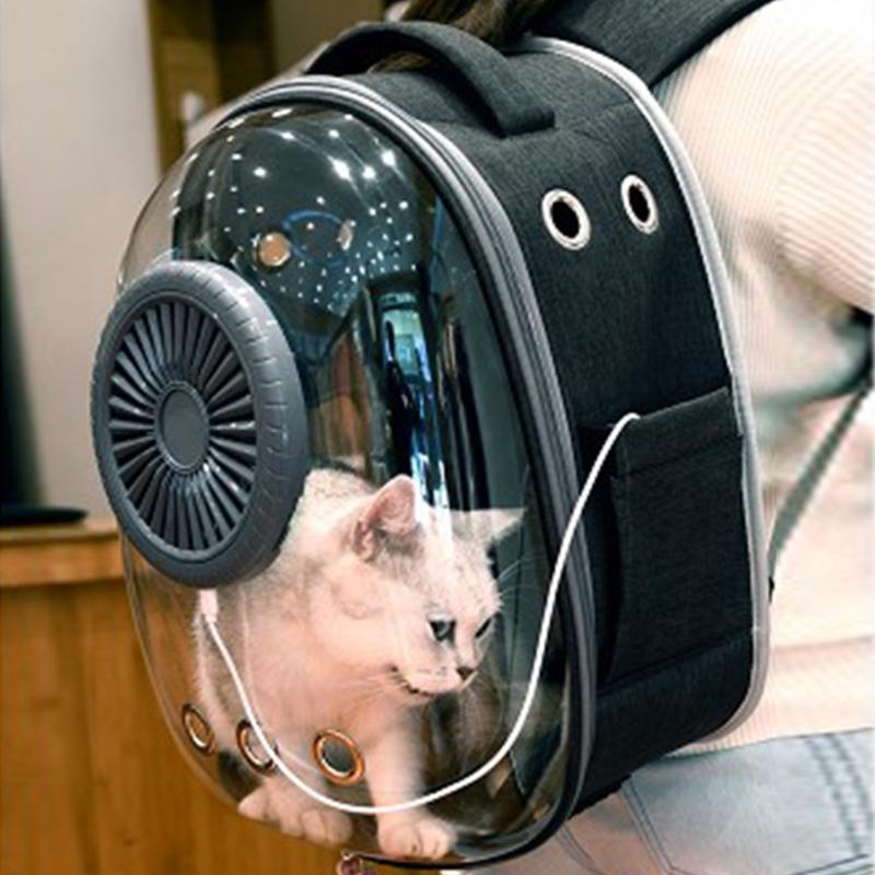 cat carrier with bubble window
