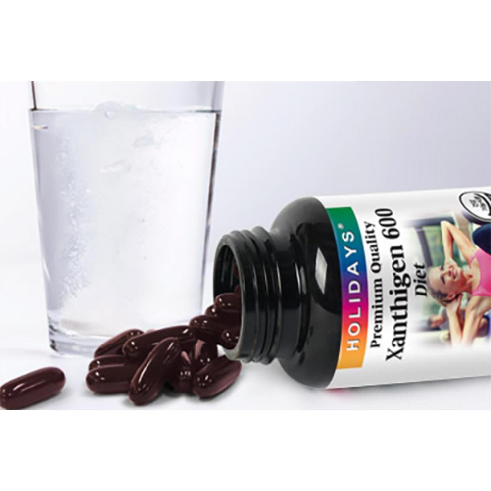 Holidays Zantigen 600, 30 Tablets, 1 Pack - Premium Fat Burning Supplement