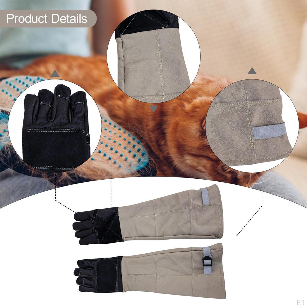 Djurhanteringshandskar Arbetskydd Vattentäta Betttåliga Husdjurshandskar för Burfågel