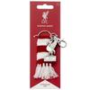 Liverpool FC Bar Scarf Bag Charm