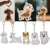 Clear Cat Hair Collection Capsule Keychain Kawaii Memorial Pet Cat Dog Hair Container Bag Charms Pendant For Pet Lovers