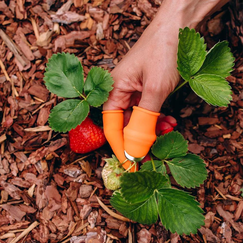 Fruit , pepper , garlic peeler, green pincher, thumb vegetable , silicone thumb knife glove, thumb knife for picking vegetables.