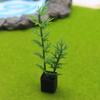 Decorative miniature artificial green plant potted for living room bedroom office landscape scenes with plastic material