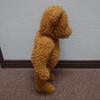 [USED] First Teddy Bear Plush Toy