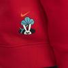 Nike Soft And Comfortable Micro Logo Illustration Crewneck Sweatshirt Kids sweatshirt Red FJ9729-657