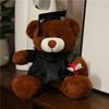 New Graduation Gift: Dr. Bear Plush Toy, Small Bear Doll, Plush Toy, Academic Gown Teddy Bear Doll